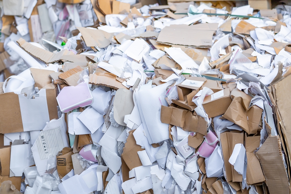 Paper Scrap